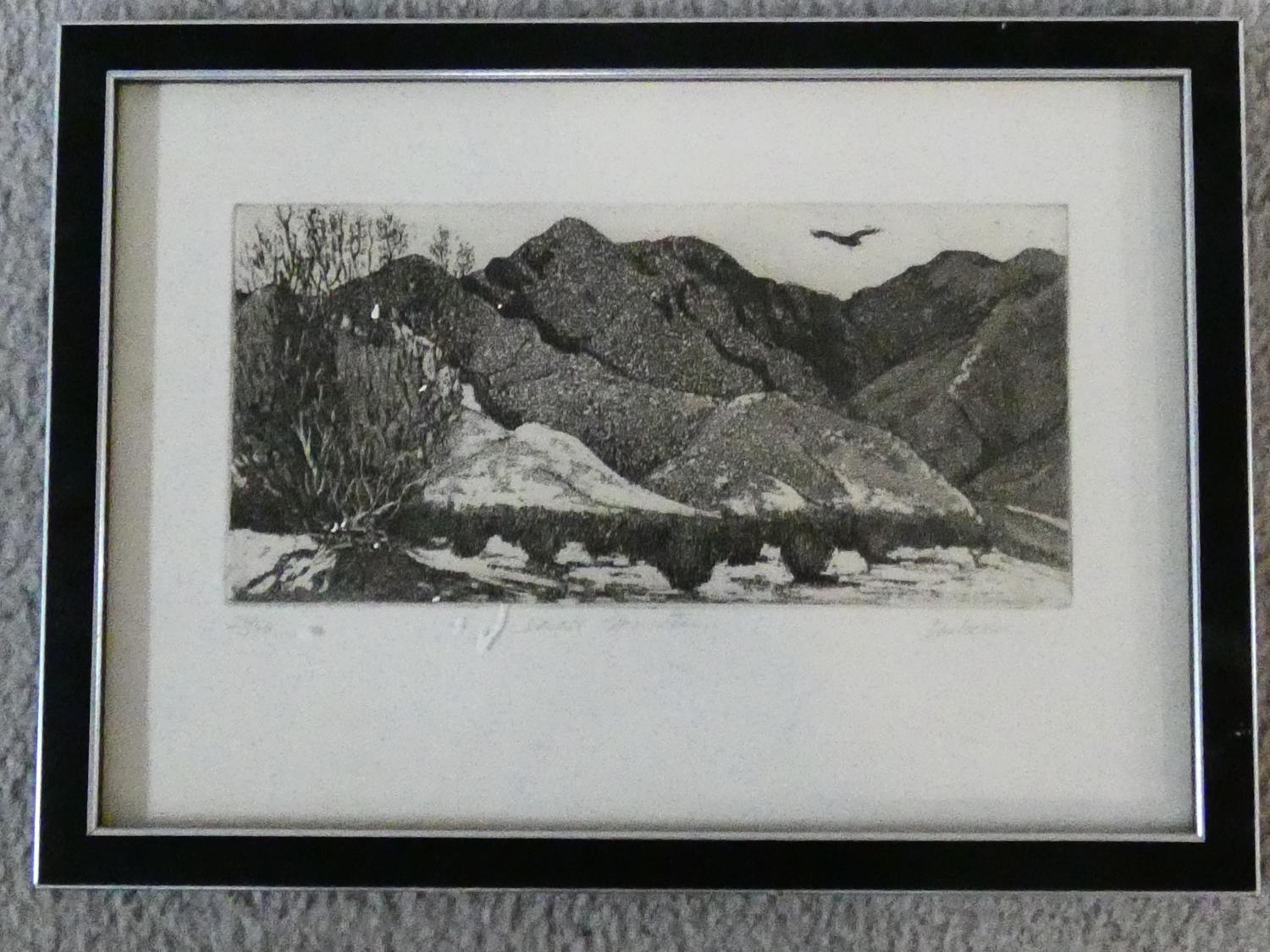 Two framed and glazed signed etchings. One of desert plants and one of desert mountains. Both - Image 14 of 20