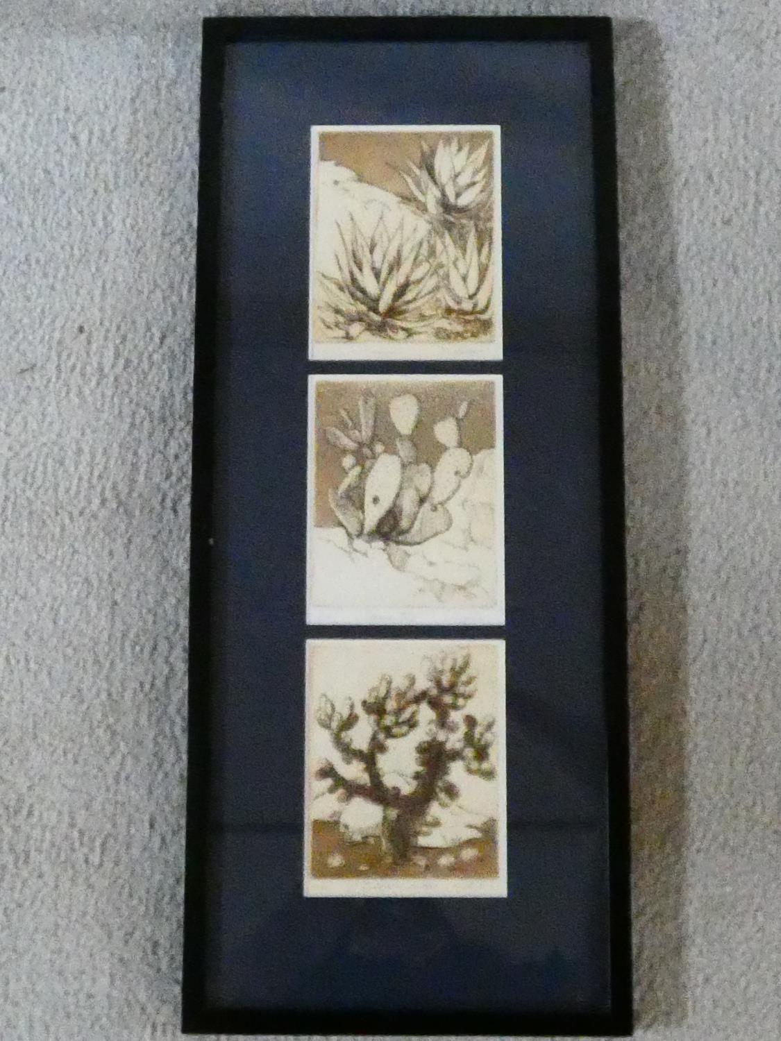 Two framed and glazed signed etchings. One of desert plants and one of desert mountains. Both - Image 2 of 20