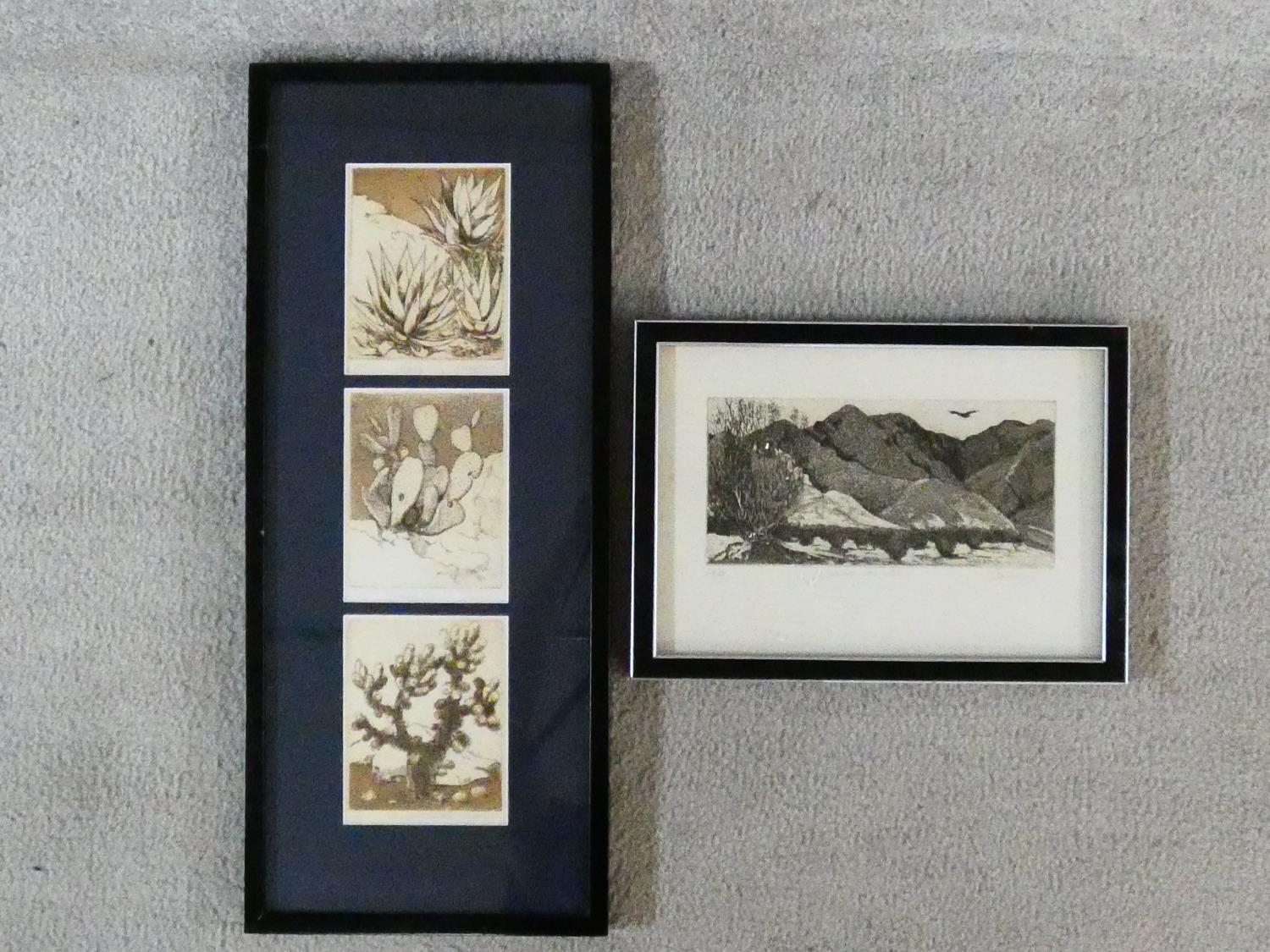 Two framed and glazed signed etchings. One of desert plants and one of desert mountains. Both