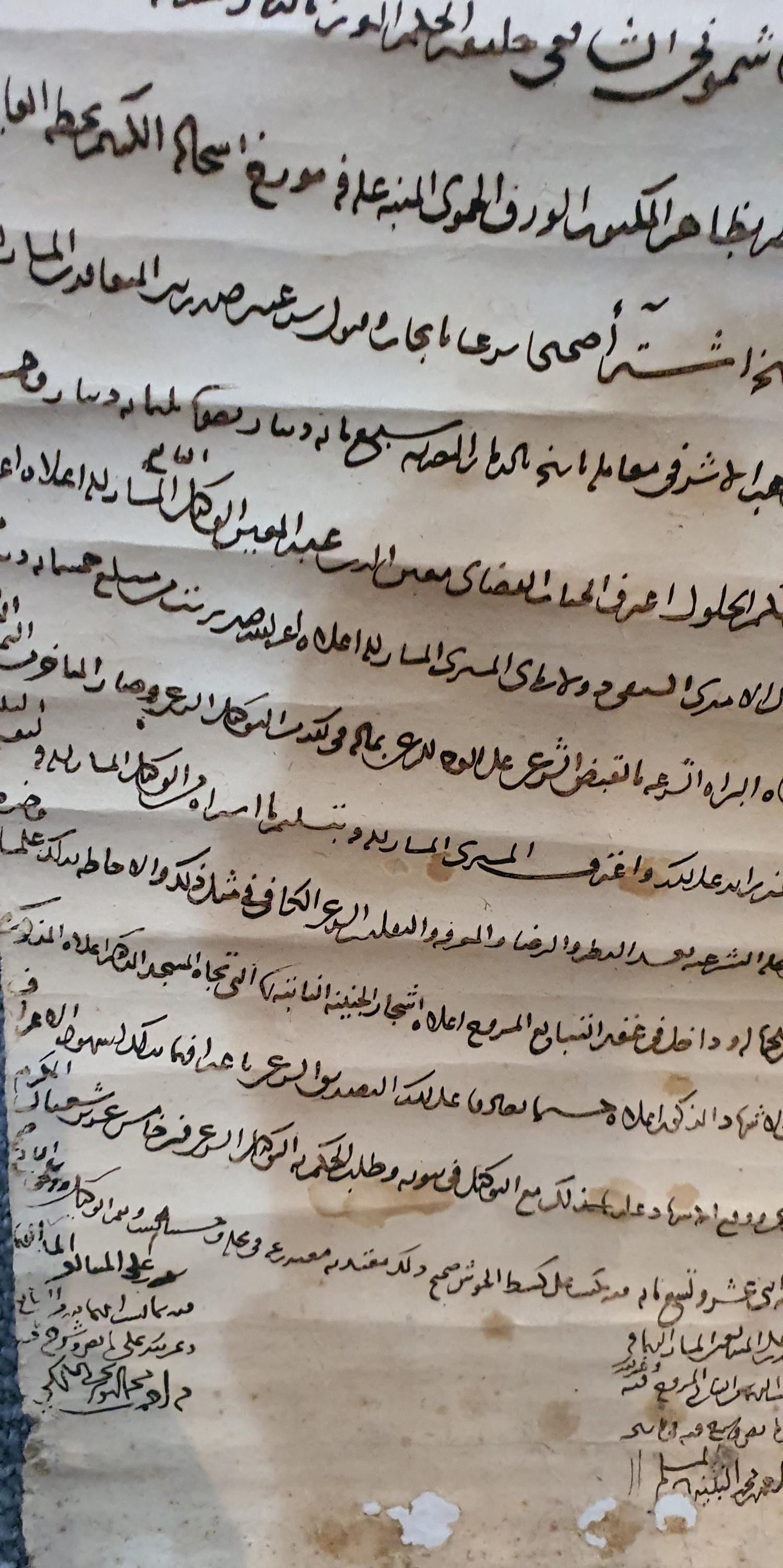 A 19th century hand written Ottoman Firman scroll. H.230x32cm - Image 4 of 6