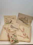 A collection of seven antique Chinese and Japanese ink paintings on paper. One of a quail, one of