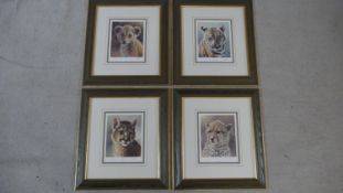 Ian Nathan (b.1954) four signed, framed and glazed limited edition prints, Puma Cub, Lion Cub, Tiger