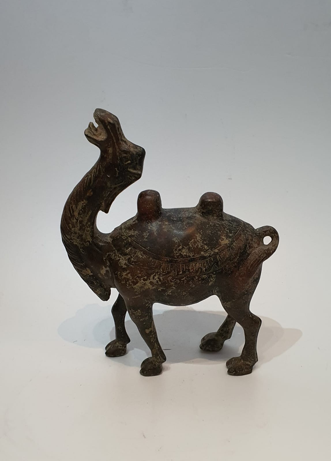 A Chinese Tang style ceramic glazed camel with head raised. H.28xW.30cm