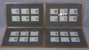 Four framed and glazed collections of antique embroidered silk floral cigarette cards. Each frame