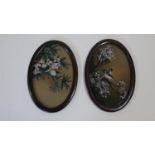 Two oval framed and glazed Japanese acrylic on glass paintings of birds in blossom trees. H.30 W.