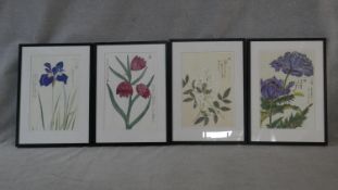 Four framed and glazed contemporary Oriental botanical prints of various flowers including Iris,