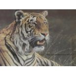 Alan M. Hunt (b.1947) a signed framed and glazed limited edition print 127/950, Prince Bengal with