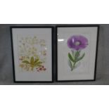 Two framed and glazed contemporary botanical prints. Depicting various species of flower. H.73 W.