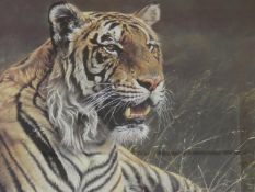 Alan M. Hunt (b.1947) a signed framed and glazed limited edition print 127/950, Prince Bengal with