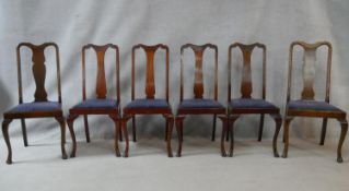 A set of six early 20th century Georgian style dining chairs with drop in seats on cabriole