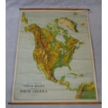 A Large University Chart ?Visual relief Map of North America? by W.A.K Johnston and G.W. Bacon,