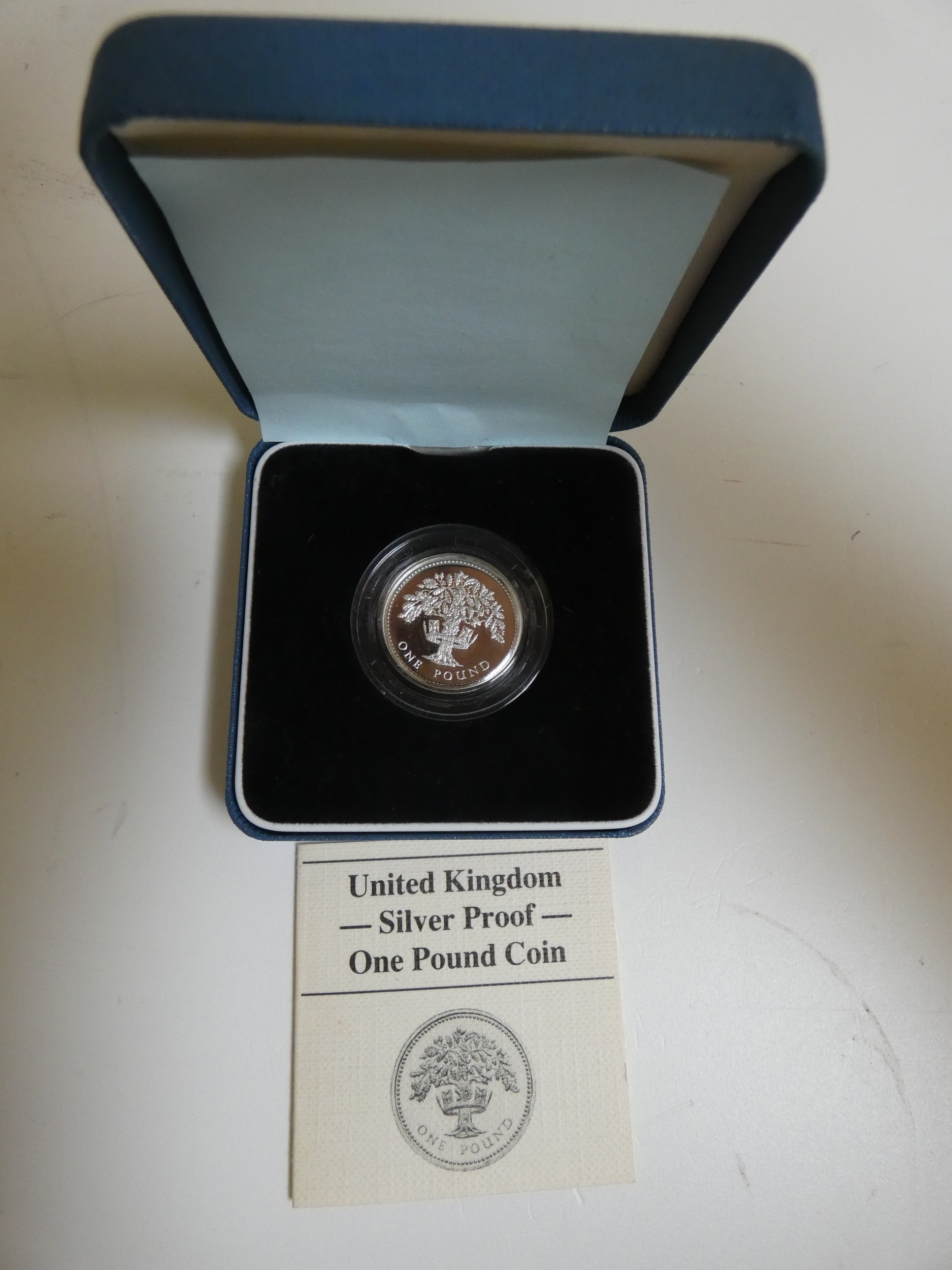 Four Royal Mint cased silver proof pound coins. Each in pale blue presentation case with COA. - Image 2 of 5