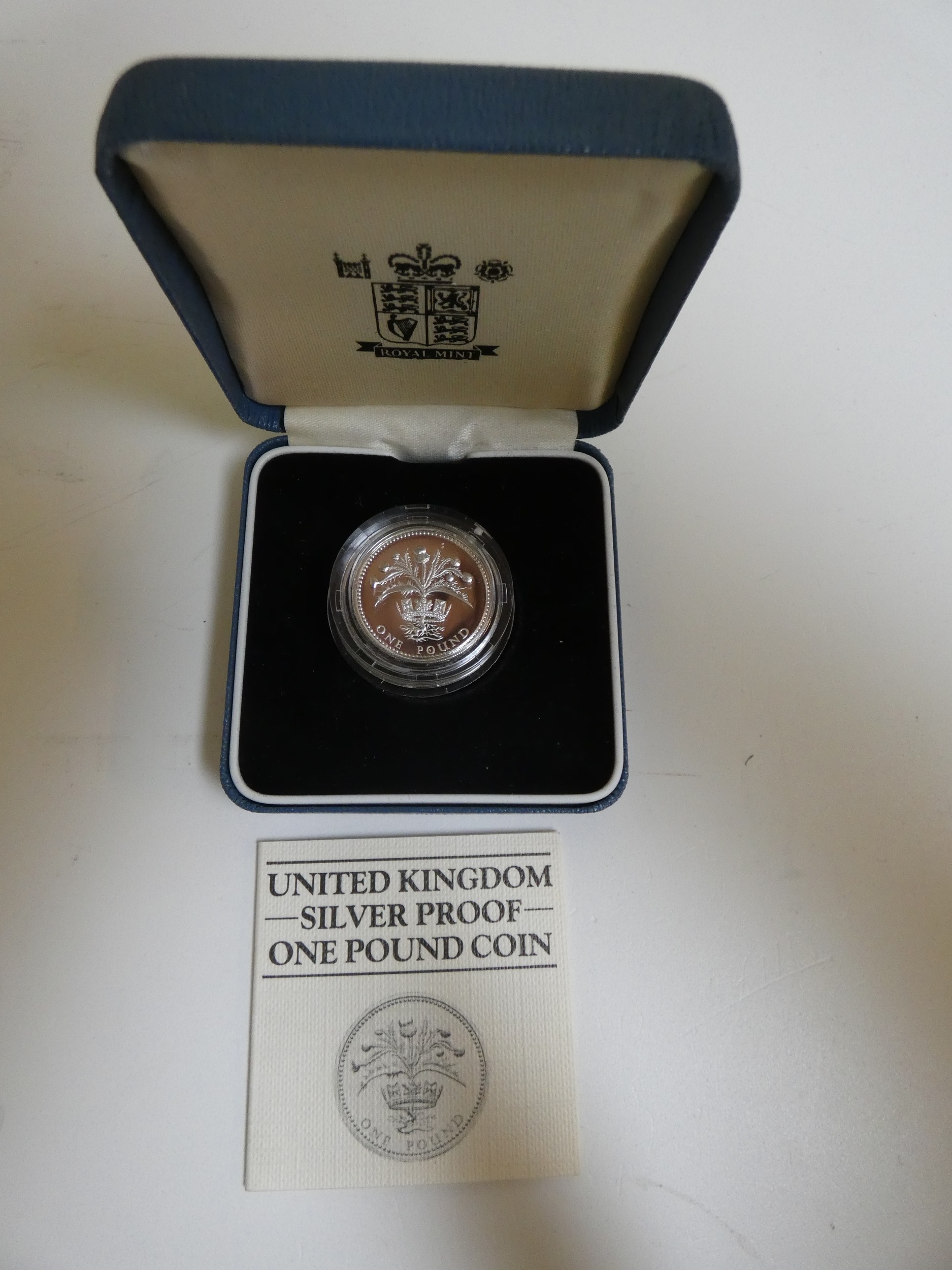 Four Royal Mint cased silver proof pound coins. Each in pale blue presentation case with COA. - Image 5 of 5