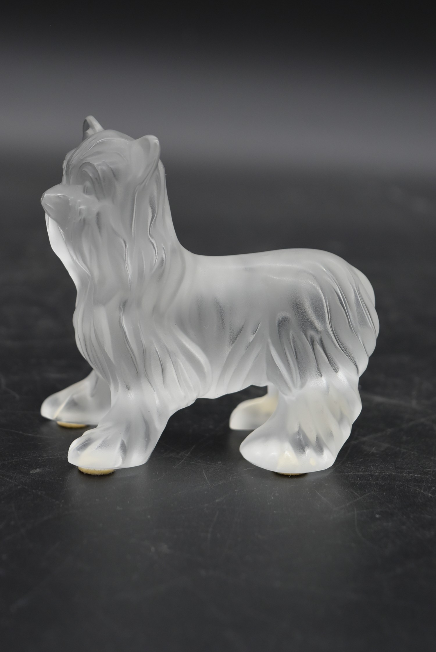 Three Lalique frosted glass figures of Yorkshire Terrier dogs, one standing, one sitting and one - Image 4 of 5