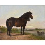 A late 19th century framed oil on canvas, horse portrait, probably Flemish, indistinctly signed. H.