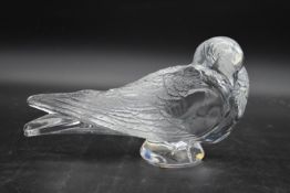 A modern Lalique moulded glass seated dove, with original label and box, signed Lalique. H.16cm L.