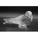 A modern Lalique moulded glass seated dove, with original label and box, signed Lalique. H.16cm L.