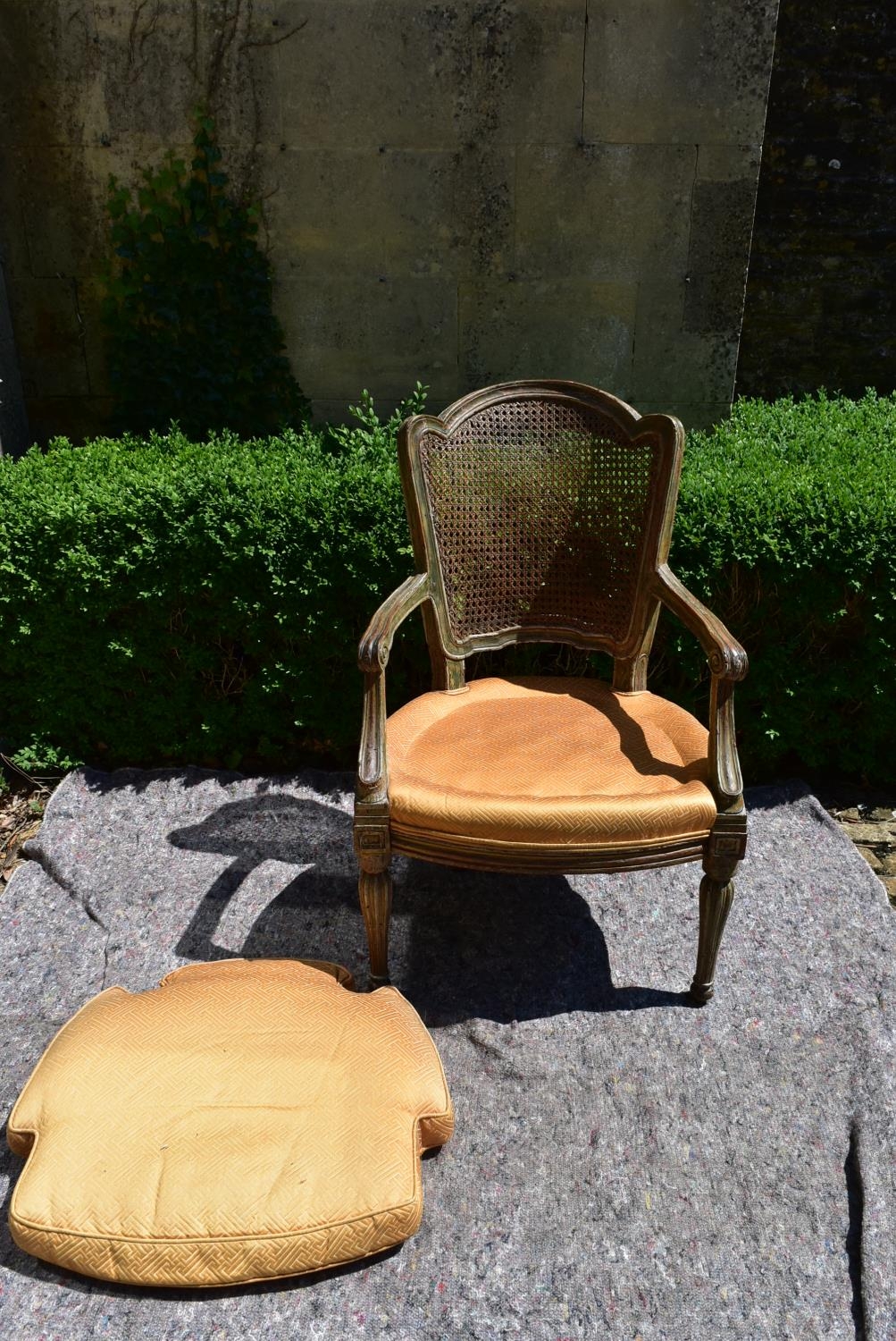 A Continental style painted and caned back armchair with fitted squab cushion raised on shaped - Image 6 of 6