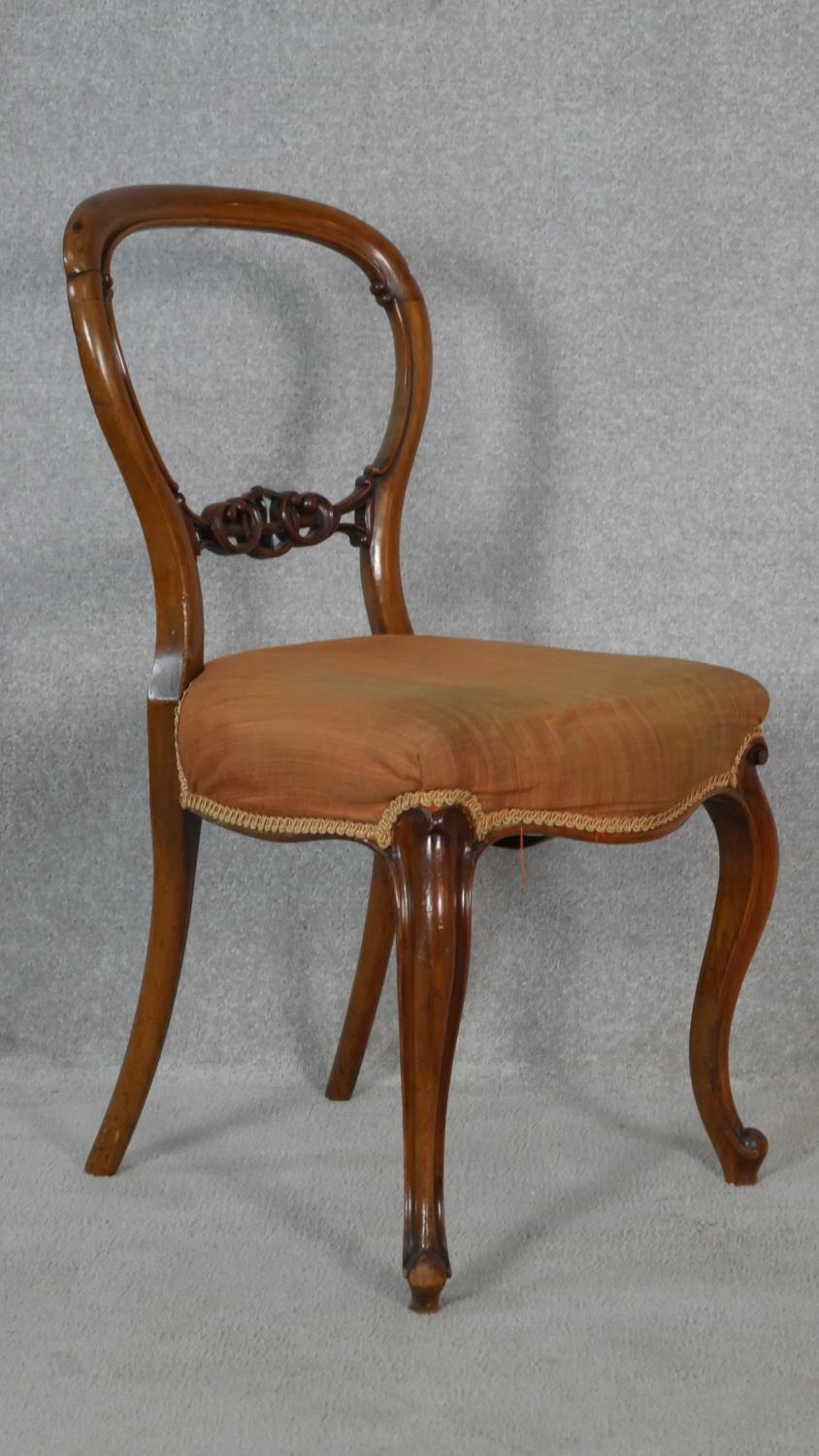 A set of five carved mahogany balloon back dining chairs with stuff over seats on cabriole supports. - Image 3 of 10