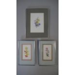 Three framed and glazed watercolours of various floral studies, one on rice paper. Depicting