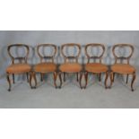 A set of five carved mahogany balloon back dining chairs with stuff over seats on cabriole supports.