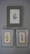 Three framed and glazed watercolours of various floral studies, one on rice paper. Depicting