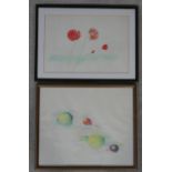 Two framed and glazed coloured pencil drawings on paper by Italian artist Giorgio Taverniti. One
