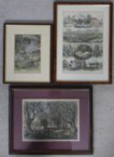 Three framed and glazed antique hand coloured engravings of Epping Forest. H.39 W.47cm (Largest)