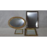 A miscellaneous collection of four various wall mirrors. H.86 W.60.5cm (Largest)