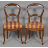 A pair of Victorian style balloon backed dining chairs on slender cabriole supports. H.89.5cm