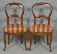 A pair of Victorian style balloon backed dining chairs on slender cabriole supports. H.89.5cm