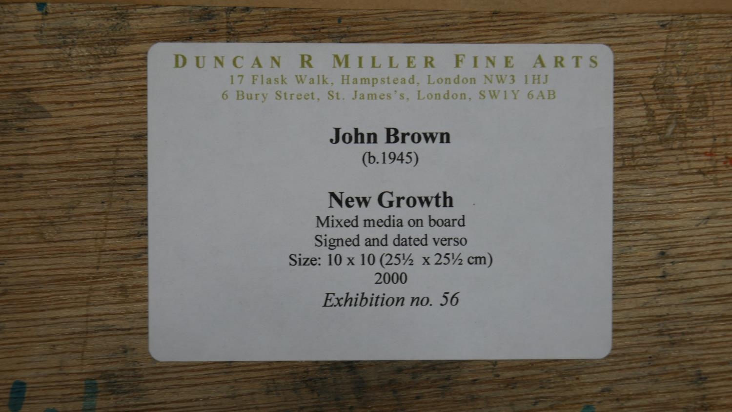 John Brown (B.1945), mixed media on board, New Growth, signed and dated to the reverse. H.37.5 W. - Image 6 of 6