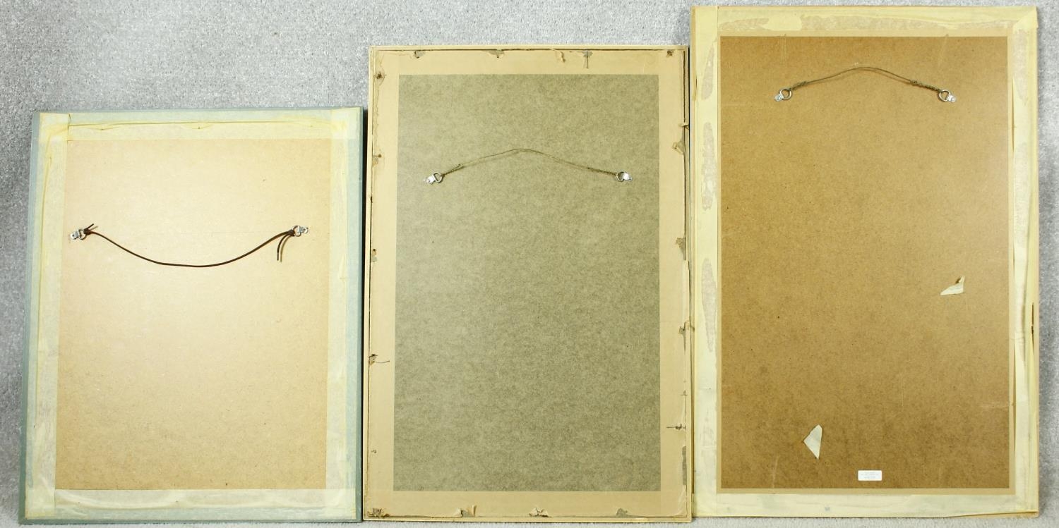 Five framed and glazed botanical prints. Including two gilt framed studies of camellias, species - Image 3 of 13