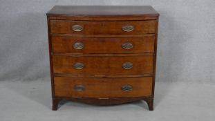 A Regency mahogany bowfronted chest of drawers with crossbanded and ebony strung top on swept