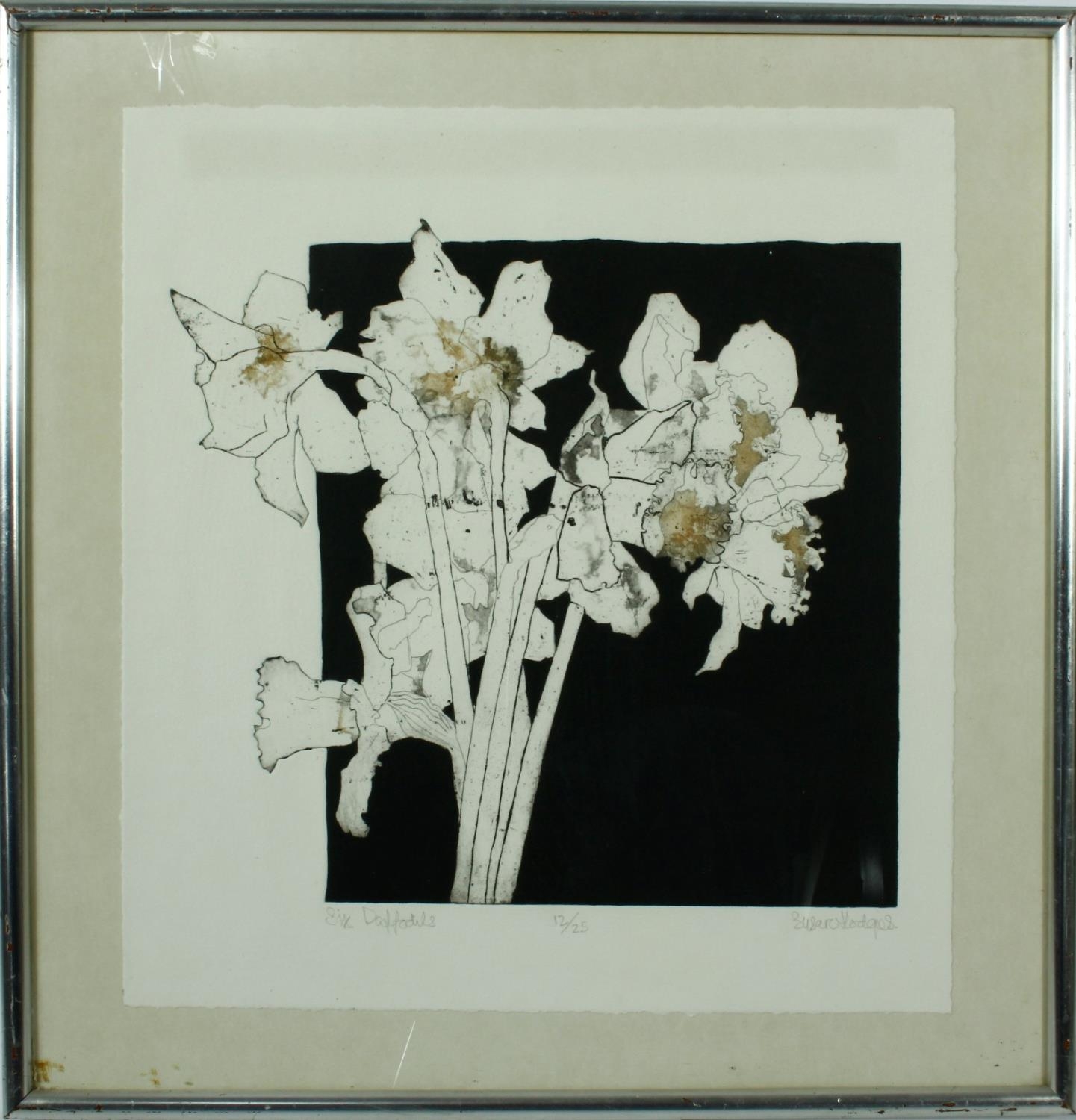 A framed and glazed signed limited edition etching of six daffodils, signed Susan Hodges, titled ' - Image 3 of 8