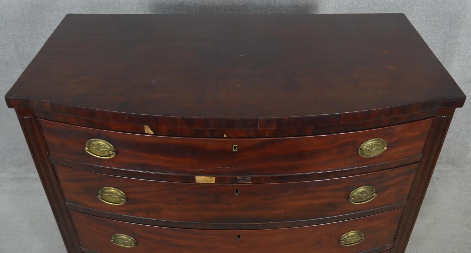 A 19th century mahogany bowfronted chest of four long drawers flanked by reeded pilasters on - Image 9 of 10