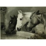 A framed antique engraving of three horses at the water trough. H.82 W.103cm