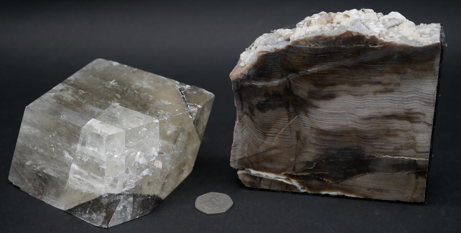 A large smokey quartz crystal and a piece of polished petrified wood. H.13 L.14 W.4.5cm (Petrified - Image 8 of 8
