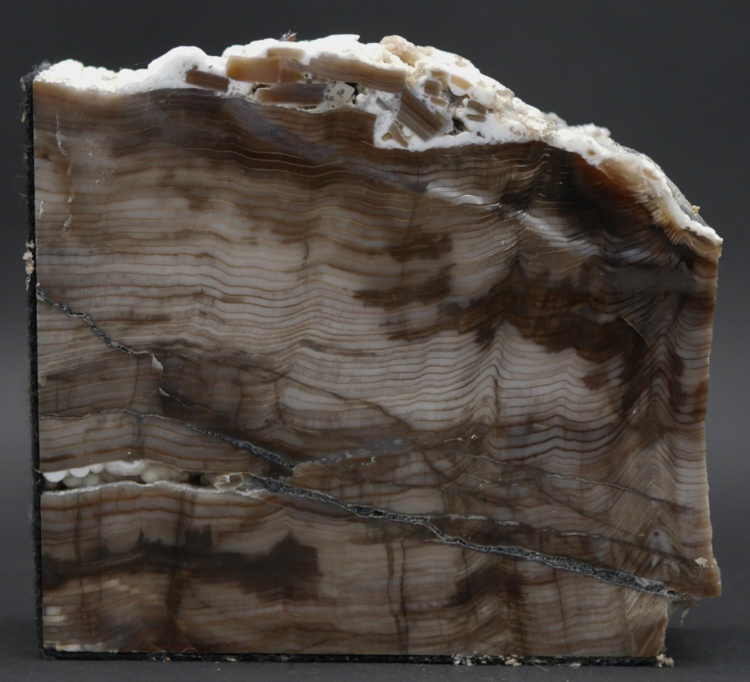 A large smokey quartz crystal and a piece of polished petrified wood. H.13 L.14 W.4.5cm (Petrified - Image 2 of 8