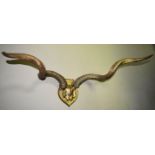 A pair of mounted resin ram's horns in a gold finish. L.70 (antlers) H.28cm (shield)