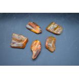 Five pieces of natural Baltic amber