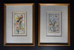 A pair of framed and glazed paintings on ivory, exotic birds and flowers. H.28cm W.21cm