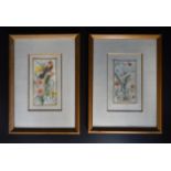 A pair of framed and glazed paintings on ivory, exotic birds and flowers. H.28cm W.21cm