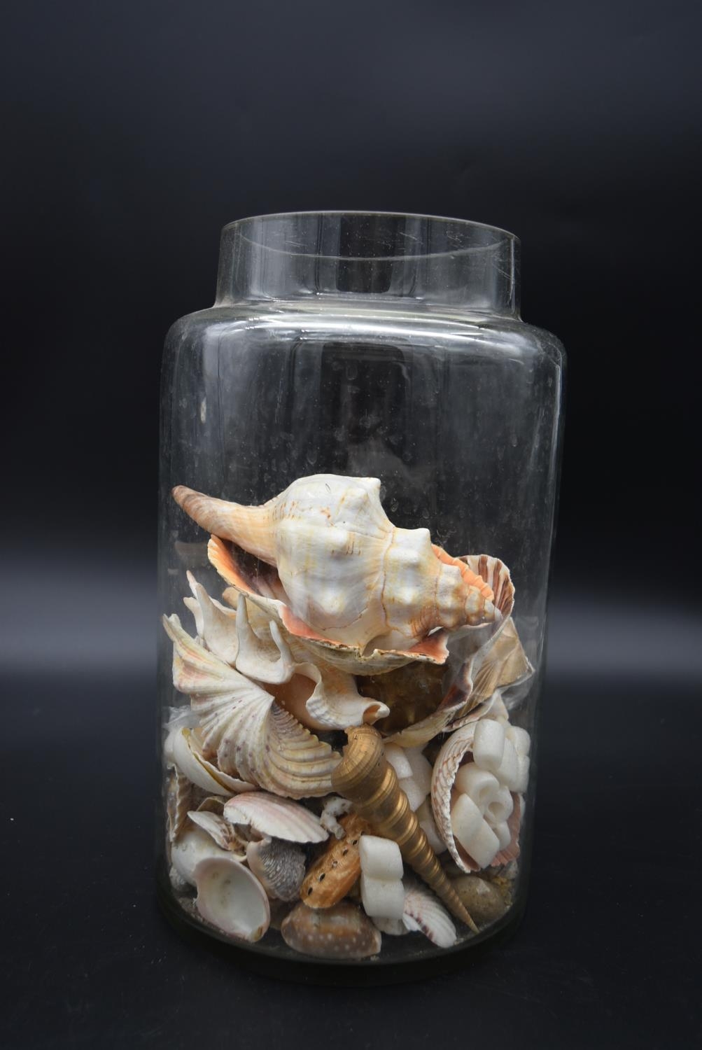 A preserve jar with a collection of various sea shells and two others similar. H.36 Dia.20cm ( - Image 2 of 8