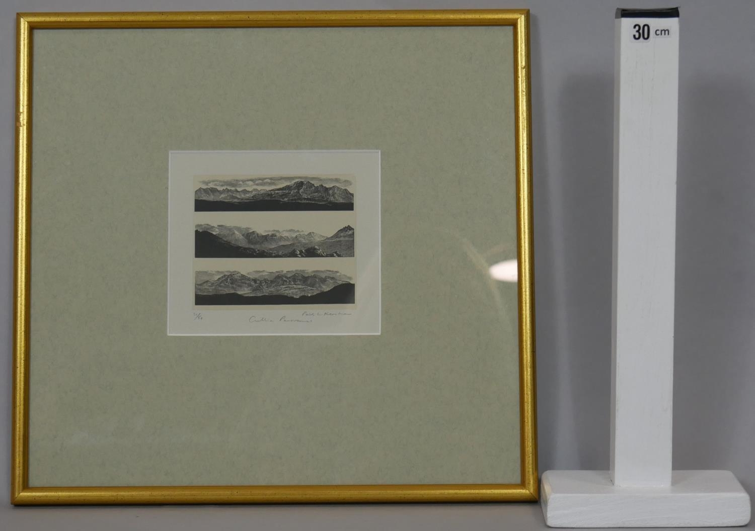 A framed and glazed signed woodcut by Paul L. Kershaw, titled 'Cuillin Panoramas', edition 31/50 H. - Image 6 of 6