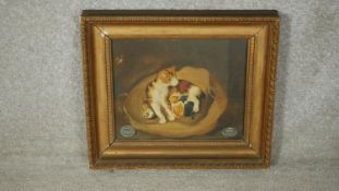 A 19th century gilt framed oil on panel, cats in a basket, dated to the reverse. W.34 H.30cm