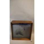 Perrain Costi, electrical lightbox with glass, digital print with wood. Skybox - 'Flight' dated 2010