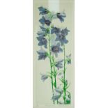 A framed and glazed signed limited edition print, titled 'Campanula', edition 21/100. Indistinctly
