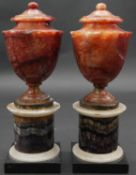 A pair of 19th century Blue John carved urns on alabaster, onyx and Blue John pedestal bases. H.22cm