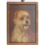 A framed C.1900 oil on board of a white terrier. Unsigned. H.12 W.